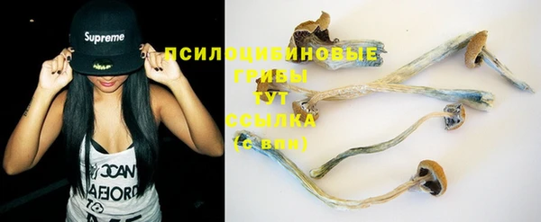 apvp Зеленодольск