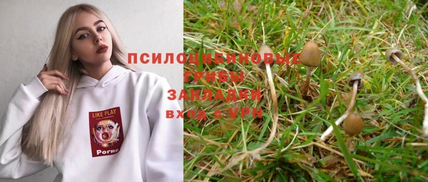 apvp Зеленодольск