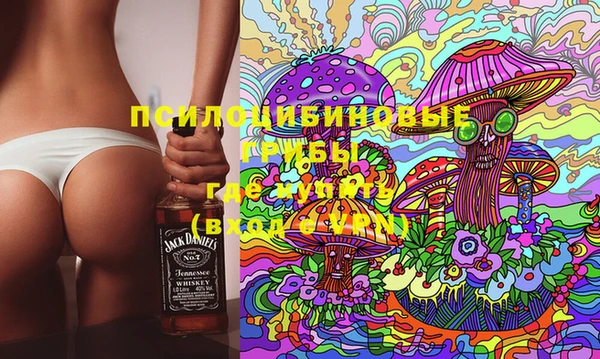 соль ск Зерноград